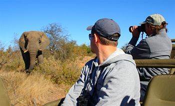 Motswari Private Game Reserve - Timbavati Klaserie Private Nature Reserve Esterno foto