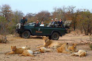 Motswari Private Game Reserve - Timbavati Klaserie Private Nature Reserve Esterno foto
