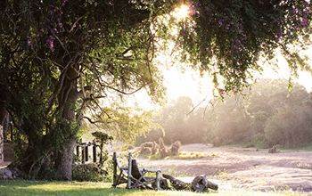 Motswari Private Game Reserve - Timbavati Klaserie Private Nature Reserve Esterno foto