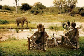 Motswari Private Game Reserve - Timbavati Klaserie Private Nature Reserve Esterno foto
